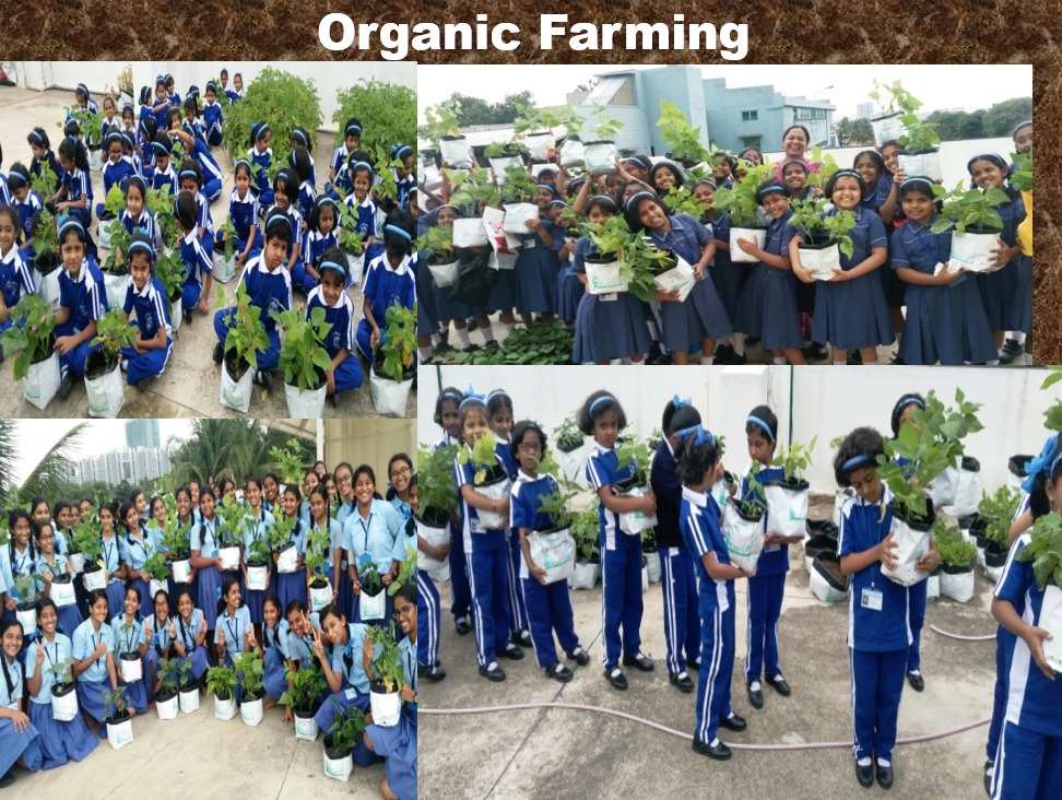 WhatsApp Image 2025-07-21 at 10.12.35_b53f26ff