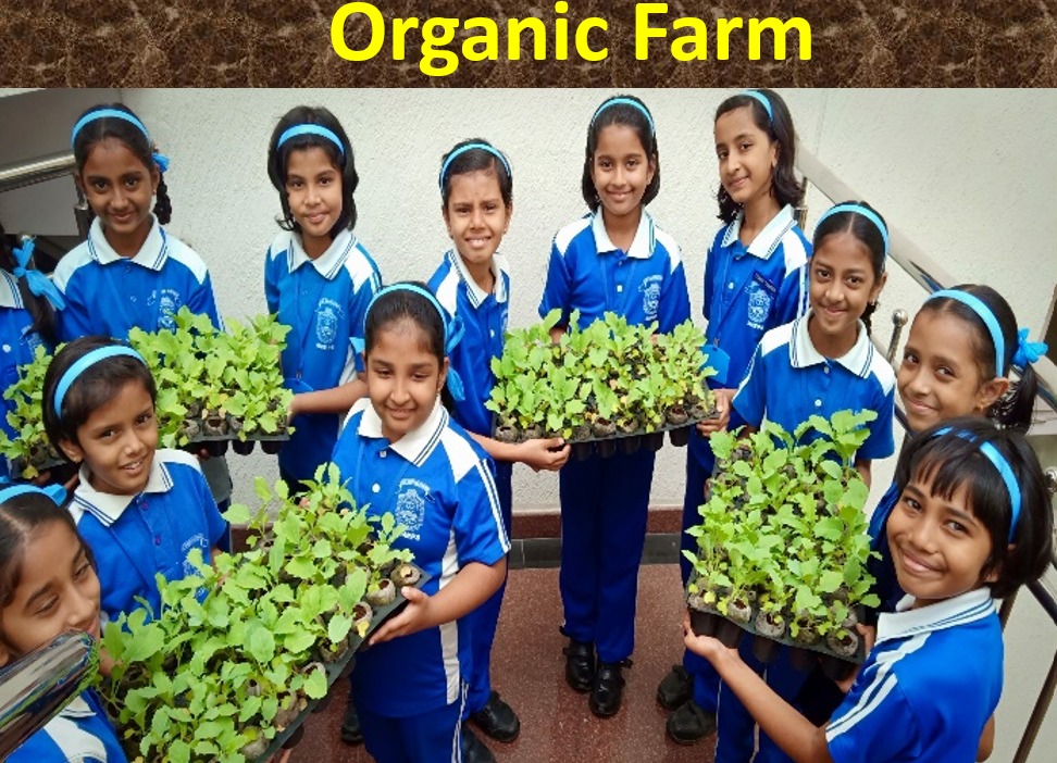 WhatsApp Image 2025-07-21 at 10.12.37_2c3cc8d9