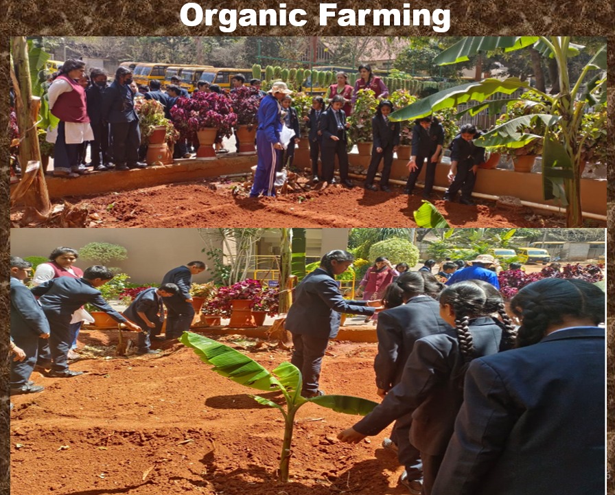 WhatsApp Image 2025-07-21 at 10.12.38_239693ac