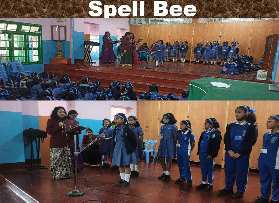 WhatsApp Image 2025-07-21 at 10.12.39_1c7c0343