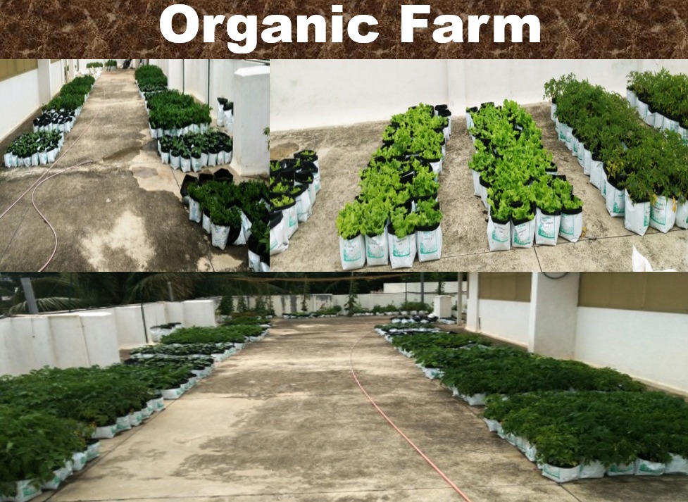 WhatsApp Image 2025-07-21 at 10.12.40_4b12738b