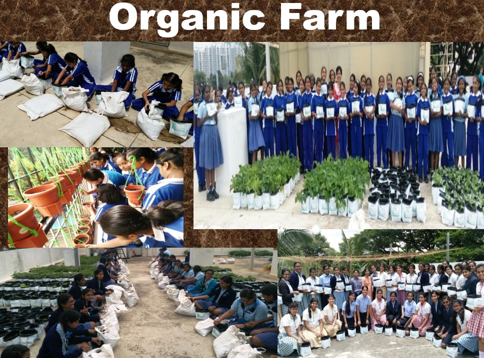 WhatsApp Image 2025-07-21 at 10.12.41_92993c0d