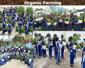 WhatsApp Image 2025-07-21 at 10.12.35_b53f26ff