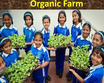 WhatsApp Image 2025-07-21 at 10.12.37_2c3cc8d9