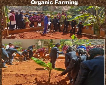 WhatsApp Image 2025-07-21 at 10.12.38_239693ac