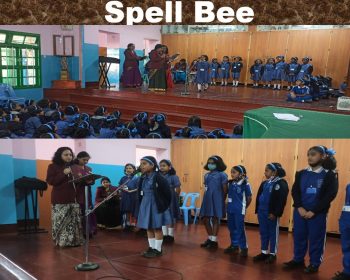 WhatsApp Image 2025-07-21 at 10.12.39_1c7c0343