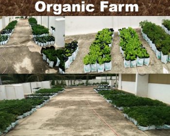 WhatsApp Image 2025-07-21 at 10.12.40_4b12738b