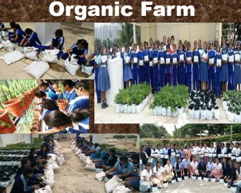 WhatsApp Image 2025-07-21 at 10.12.41_92993c0d