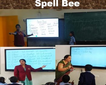 WhatsApp Image 2025-07-21 at 10.12.42_7fdf51f8